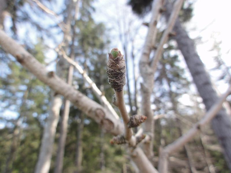 2012 04 27 C